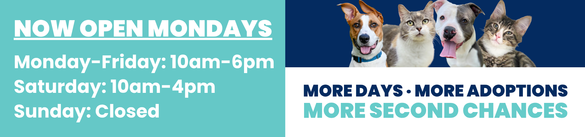 NEW HOURS | OPEN MONDAYS