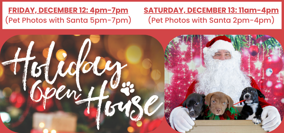 Holiday Open House, December 12 & 13