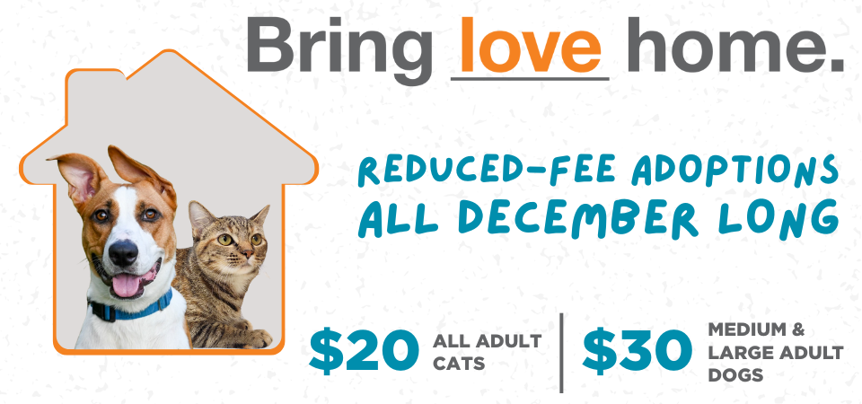 Reduced-Fee Adoptions All December