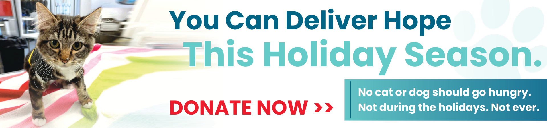 Deliver hope this holiday season. Donate now.