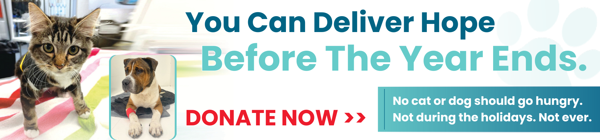 Deliver hope before the end of the year. Donate now.
