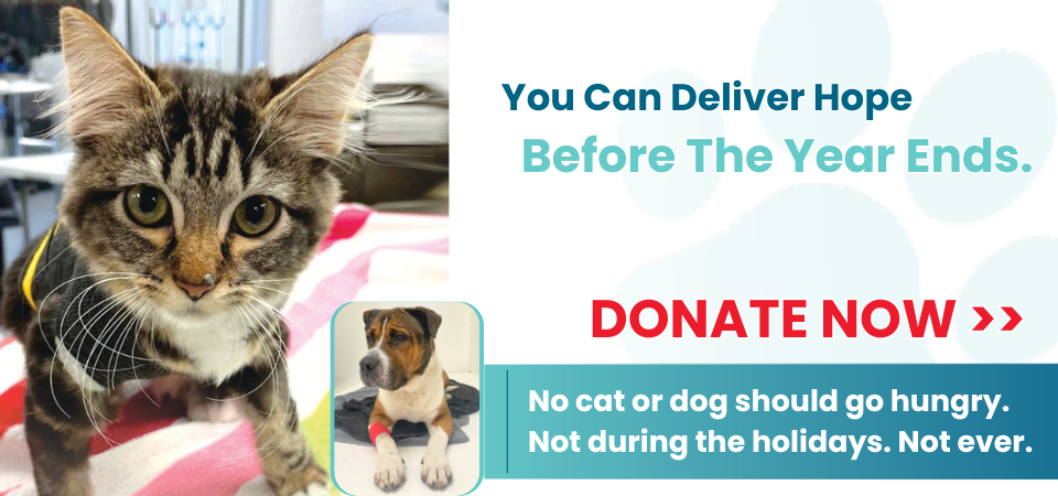 Deliver hope before the year ends. Donate now.