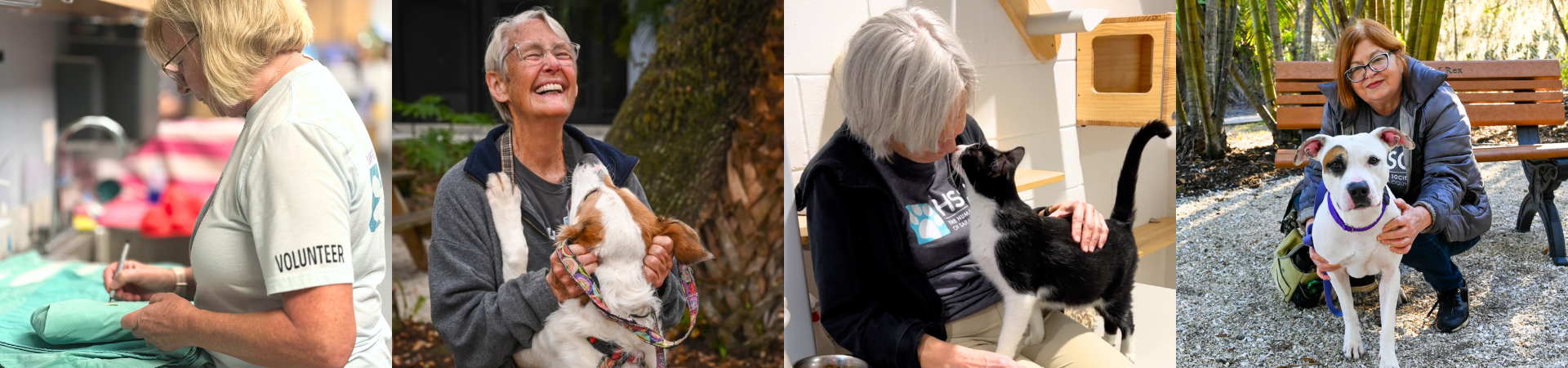 Volunteer Photos with Cats and Dogs