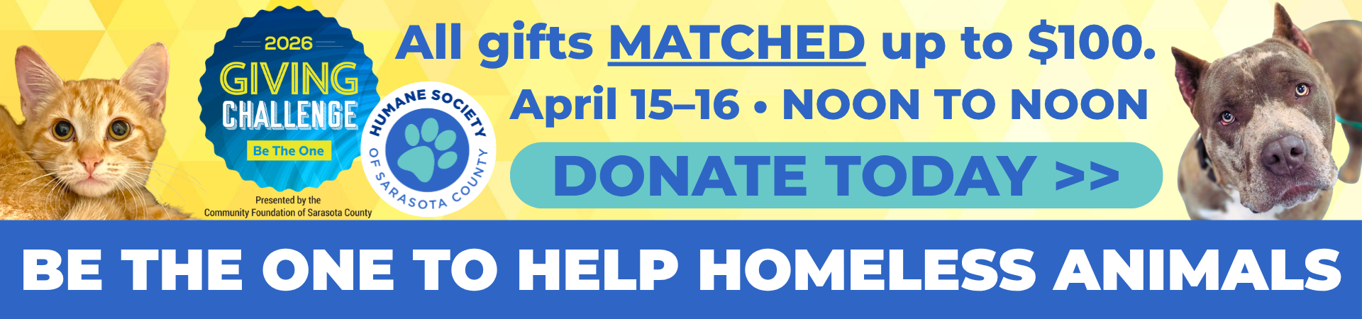 BE THE ONE TO HELP HOMELESS ANIMALS