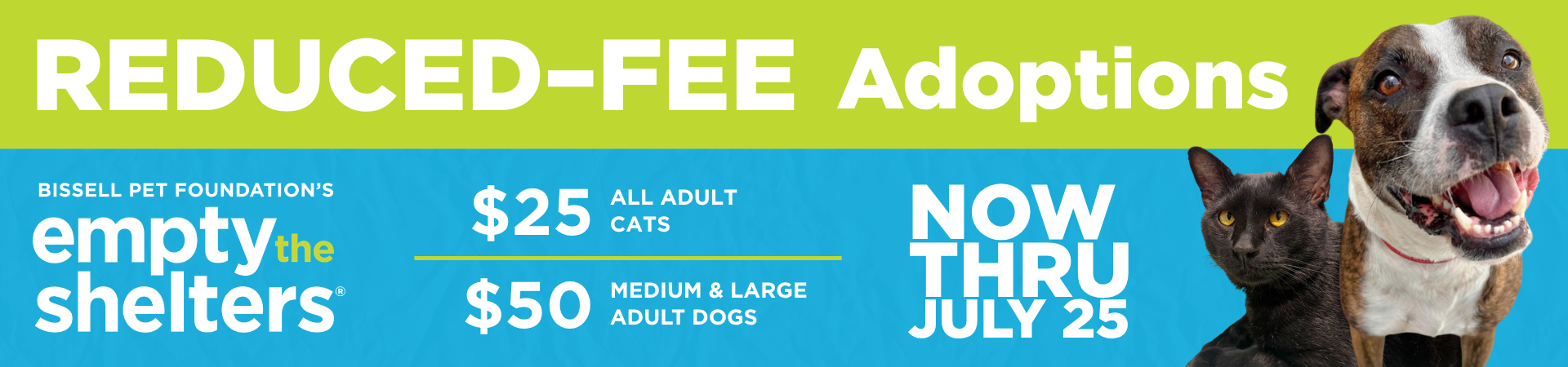 Reduced-Fee Adoptions Now Through July 25