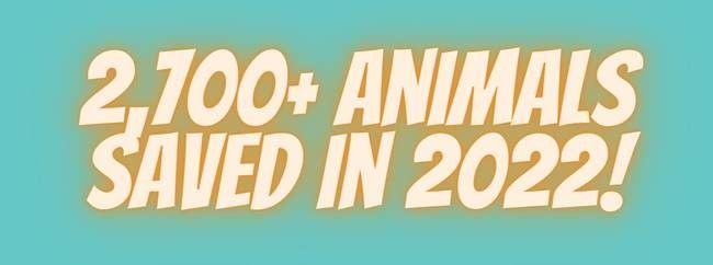 2700-Animals-Saved