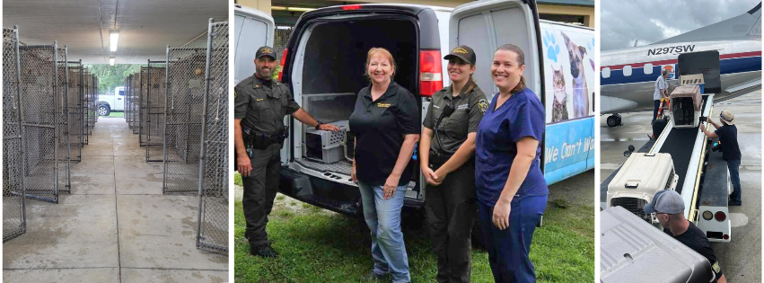 Animals from Outdoor Kennels in Highlands County Safe ahead of Hurricane Milton