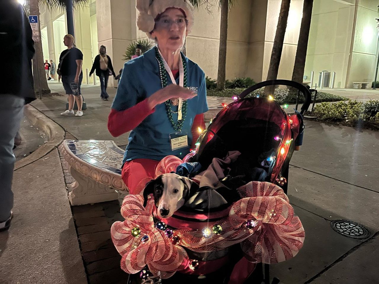 Sarasota Holiday Parade WINNERS Blog