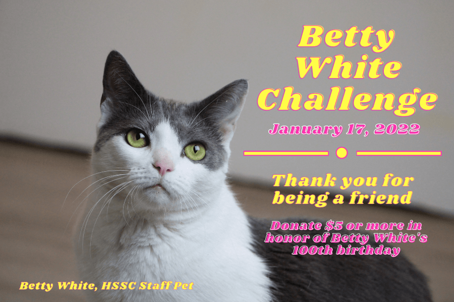 Betty-White-Challenge-Website-Home