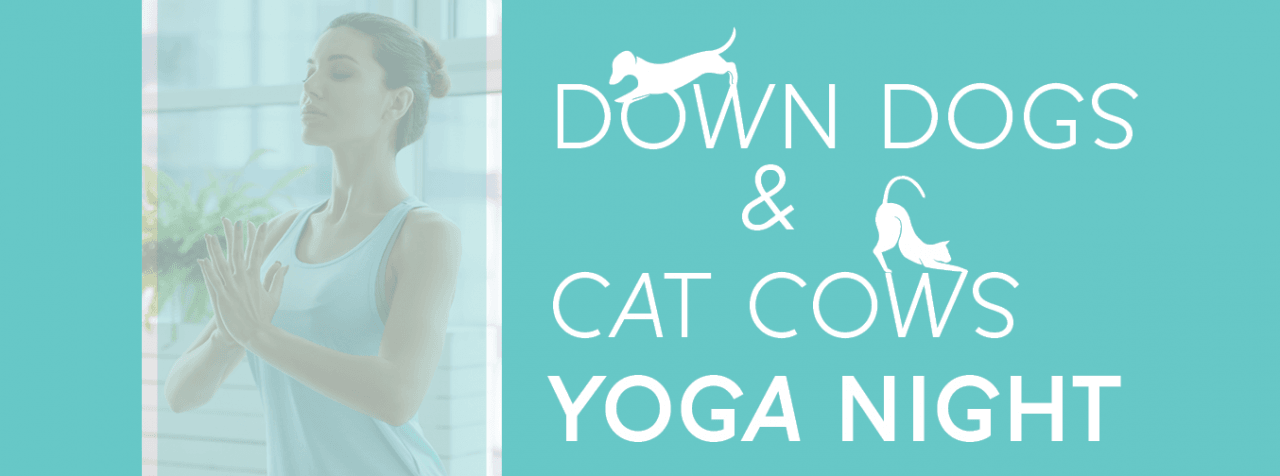 Down Dogs & Cat Cows Yoga Night